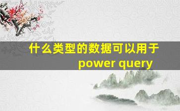 什么类型的数据可以用于power query